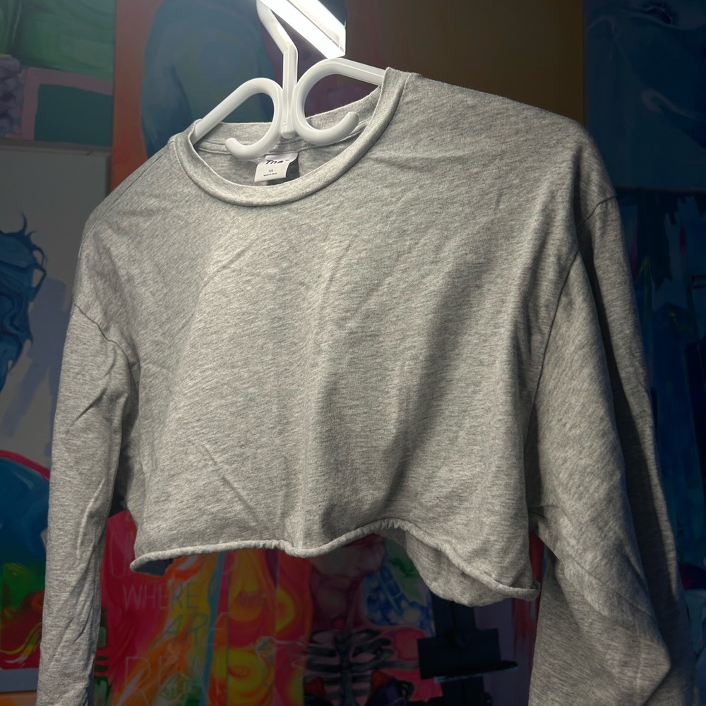 TNA Gray Cropped Long Sleeve Top